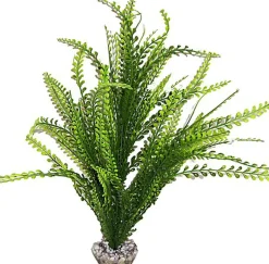 Labeo - Arbre assorti grand modèle - Plante Artificielle Aquarium