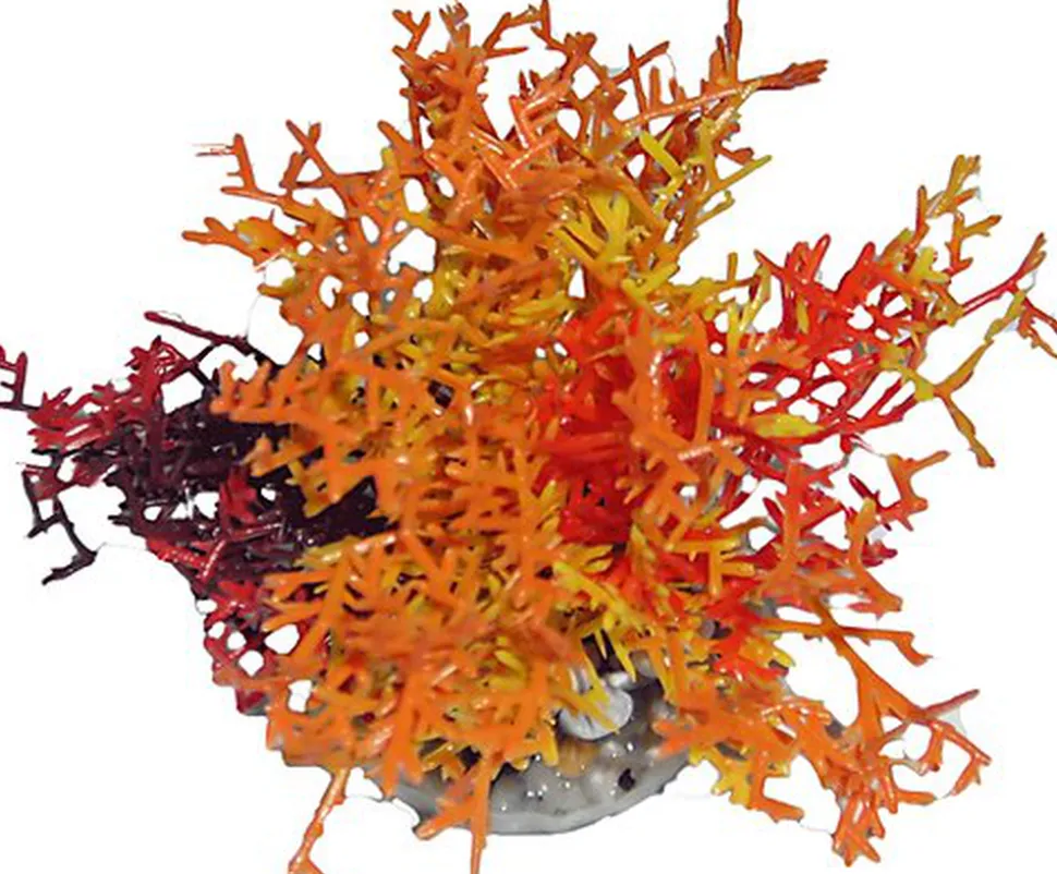 Labeo - Corail coloré - Plante Artificielle Aquarium