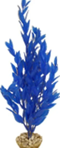 Labeo - Cycared coloré - Plante Artificielle Aquarium
