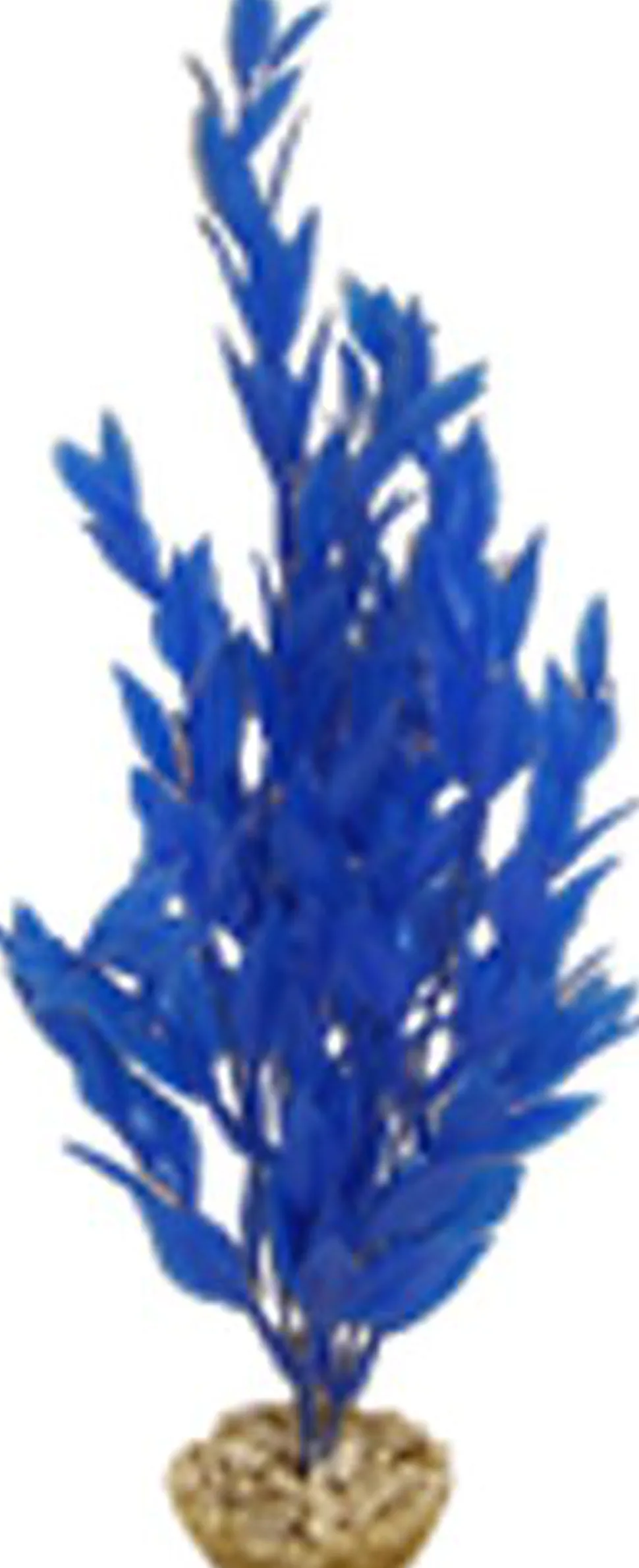 Labeo - Cycared coloré - Plante Artificielle Aquarium