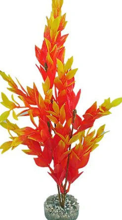 Labeo - Cycared coloré - Plante Artificielle Aquarium