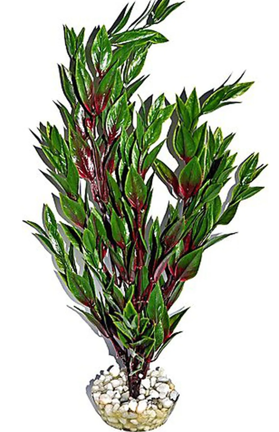 Labeo - Cycared coloré - Plante Artificielle Aquarium