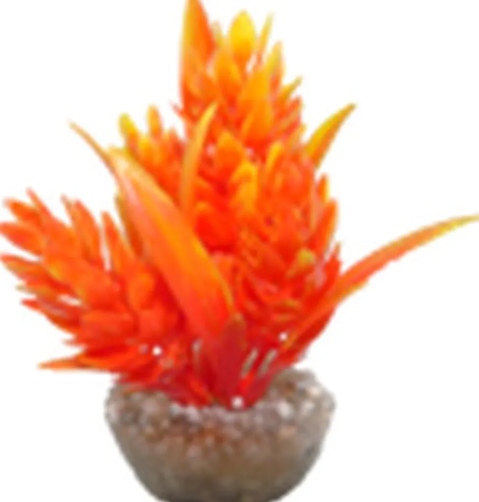 Labeo - Décor HOP - Plante Artificielle Aquarium