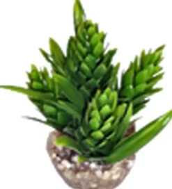 Labeo - Décor HOP - Plante Artificielle Aquarium