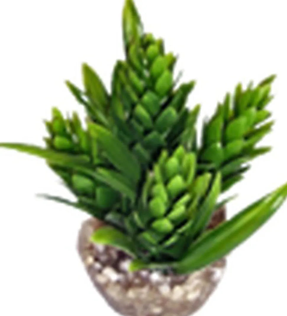 Labeo - Décor HOP - Plante Artificielle Aquarium