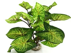 Labeo - Décoration Plante Verte Artificielle pour Aquarium