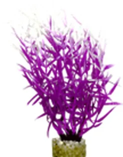 Labeo - Herbe marine colorée - Plante Artificielle Aquarium