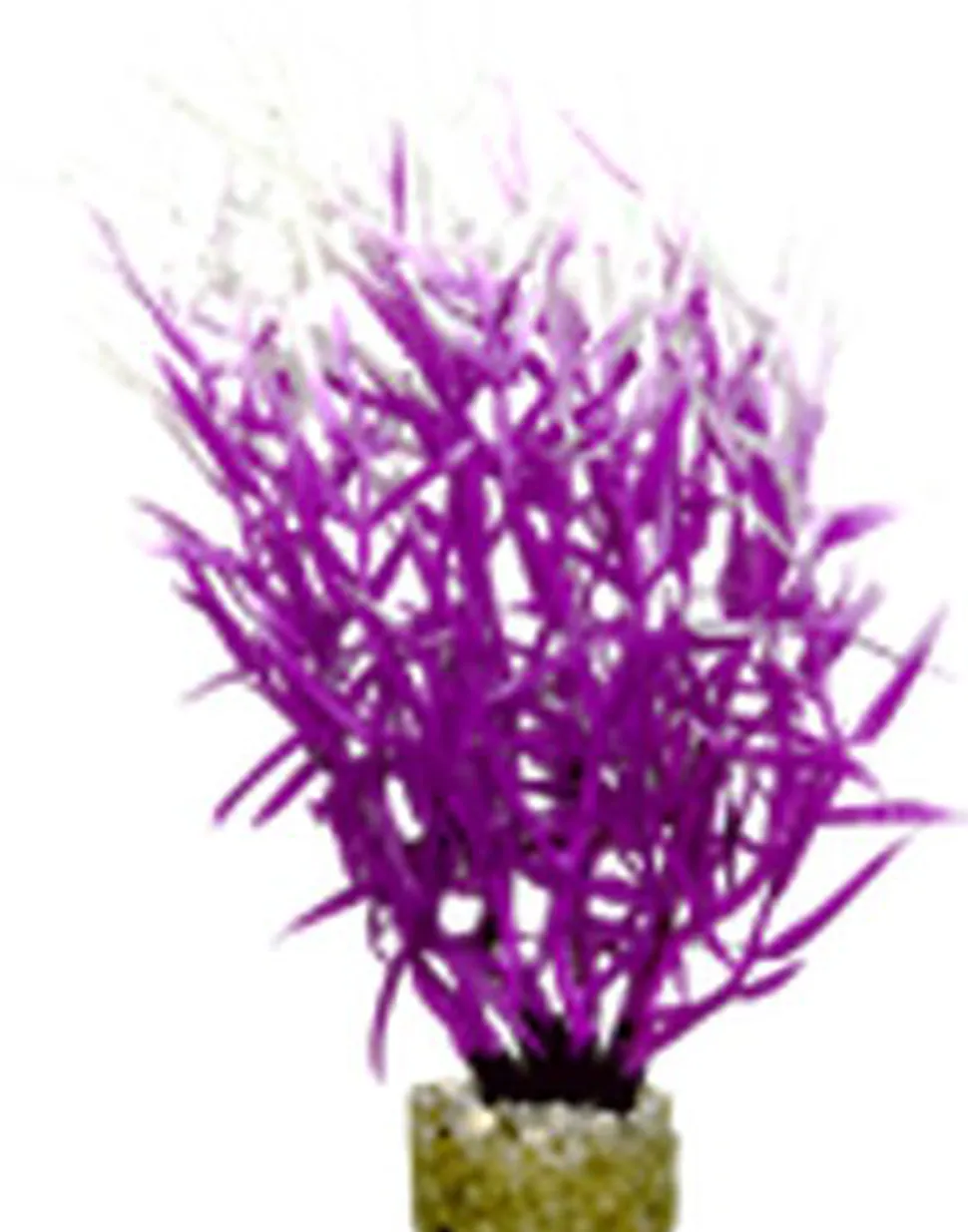 Labeo - Herbe marine colorée - Plante Artificielle Aquarium