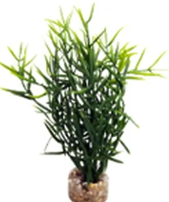Labeo - Herbe marine colorée - Plante Artificielle Aquarium