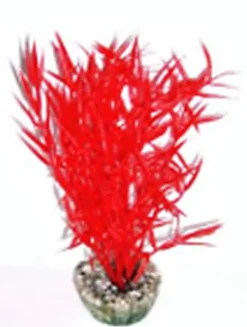 Labeo - Herbe marine colorée - Plante Artificielle Aquarium