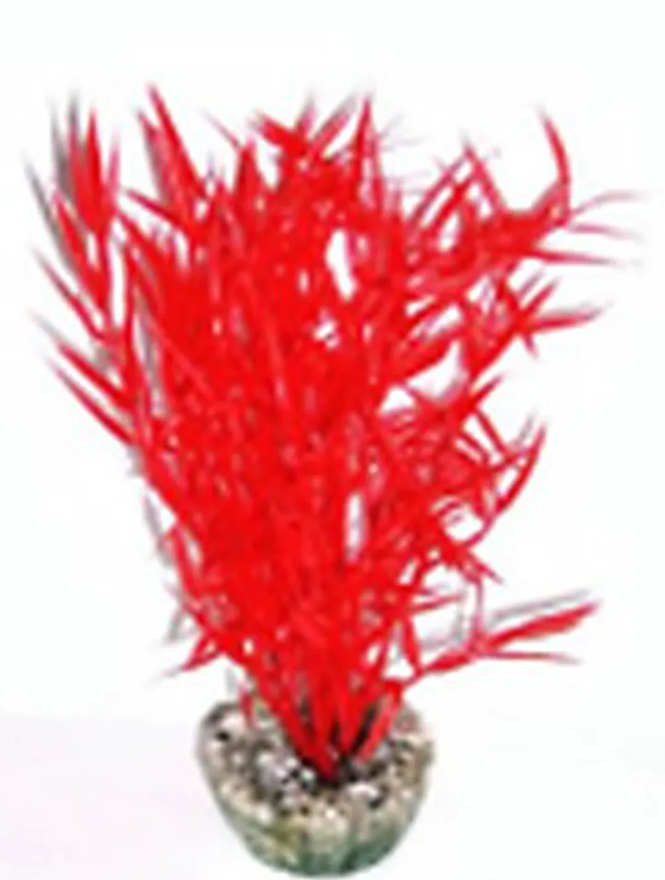 Labeo - Herbe marine colorée - Plante Artificielle Aquarium