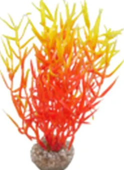 Labeo - Herbe marine colorée - Plante Artificielle Aquarium