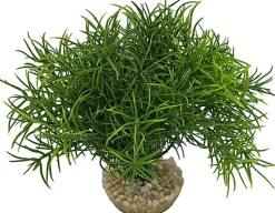 Labeo - Massif sprengeri vert - Plante Artificielle Aquarium