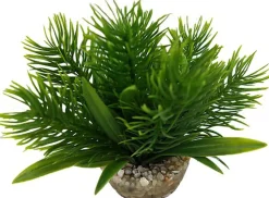 Labeo - Plante Décorative Egeria pour Aquarium