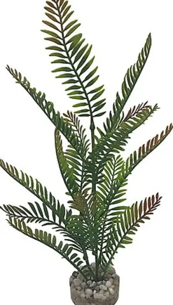 Labeo - Plante Décorative Fougère Haute pour Aquarium