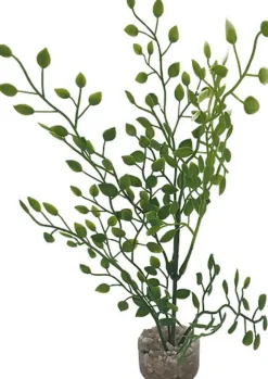 Labeo - Plante Décorative Herbe Fine pour Aquarium