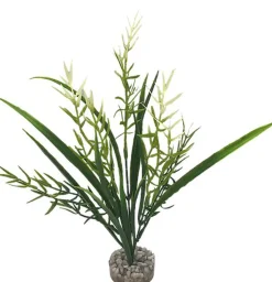 Labeo - Plante Décorative Herbe Marine pour Aquarium