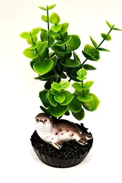Labeo - Plante de Décoration avec Phoque pour Aquarium