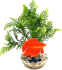 Labeo - Plante de Décoration Poisson d'eau Douce pour Aquarium