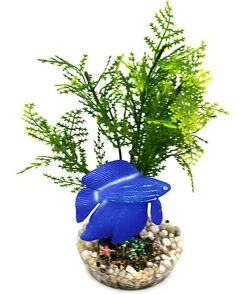 Labeo - Plante de Décoration Poisson d'eau Douce pour Aquarium