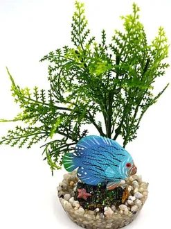 Labeo - Plante de Décoration Poisson d'eau Douce pour Aquarium