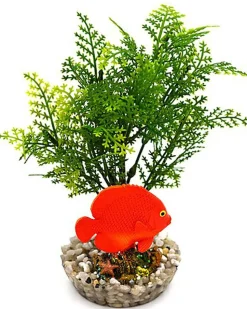 Labeo - Plante de Décoration Poisson d'eau Douce pour Aquarium