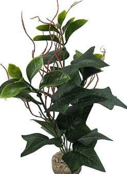 Labeo - Plante Verte Assortie Décorative pour Terrarium