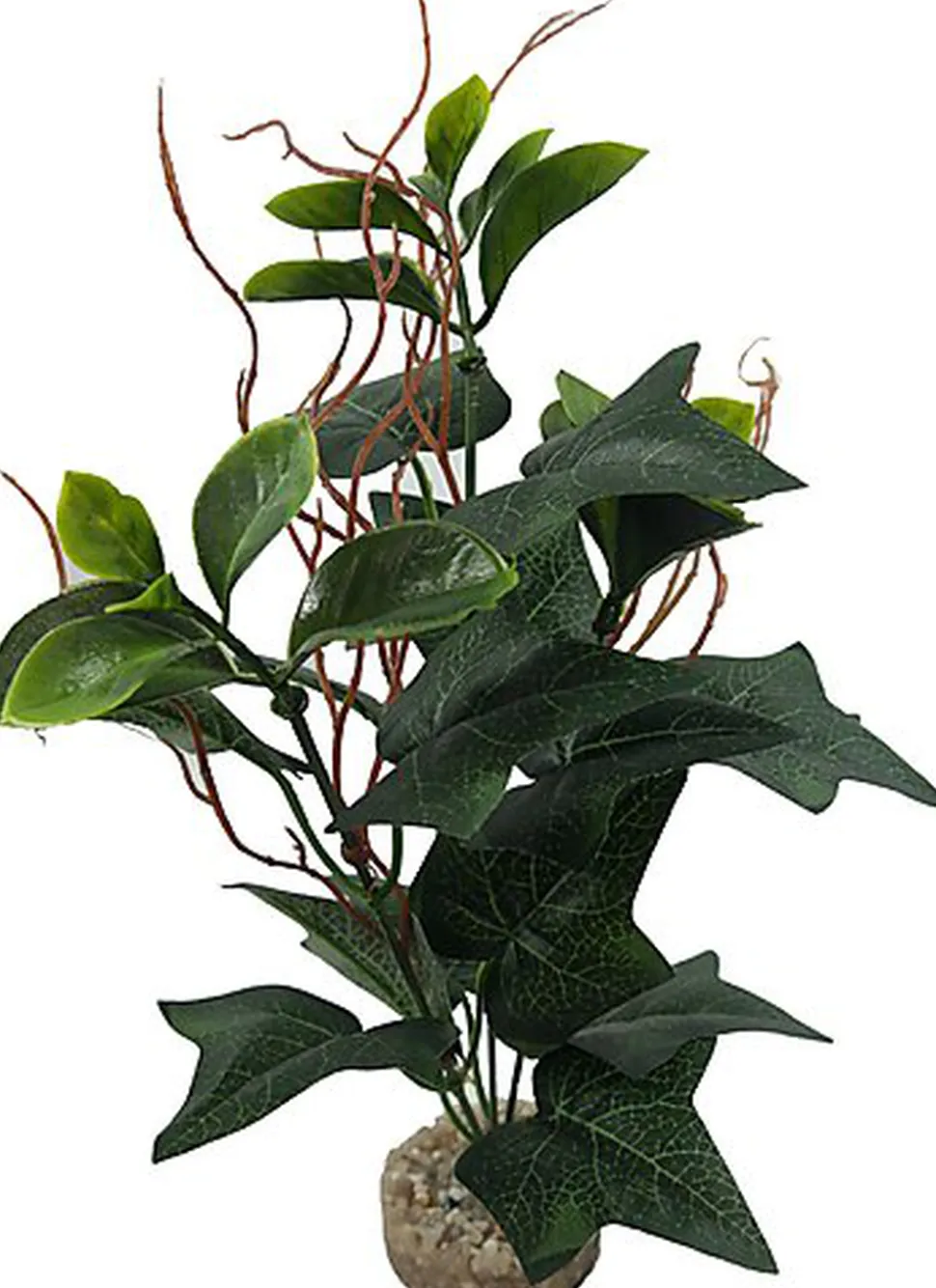 Labeo - Plante Verte Assortie Décorative pour Terrarium