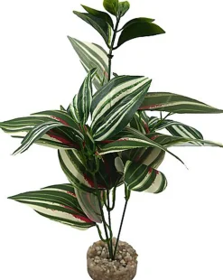 Labeo - Plante Verte Assortie Décorative pour Terrarium