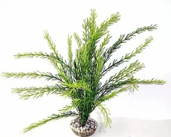 Labeo - Rotala - Plante Artificielle Aquarium