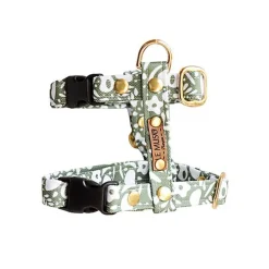 Le Muso - Harnais Oscar Vert pour Chat