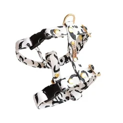 Le Muso - Harnais Oslo Blanc et Noir pour Chats