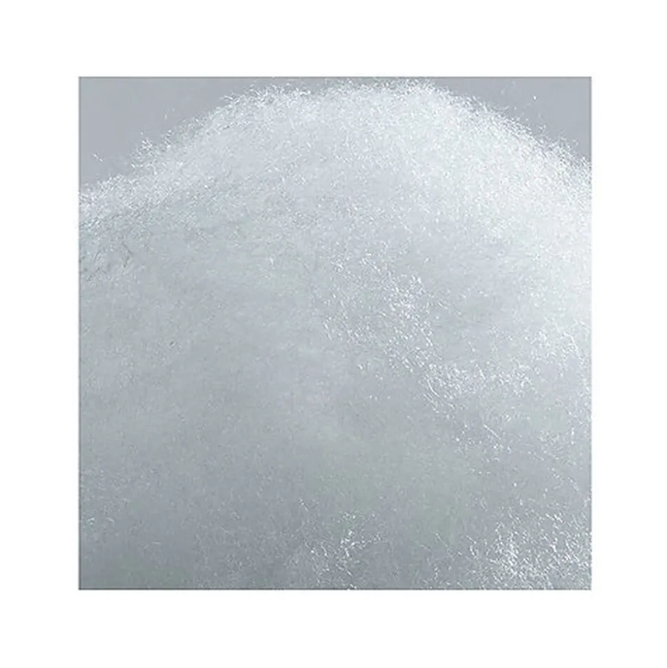 Leeby - Donut My Favourite Place pour Chats - Gris