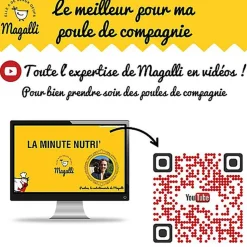 Magalli - Aliment Complet Poule Santé pour Basse-cour - 4Kg