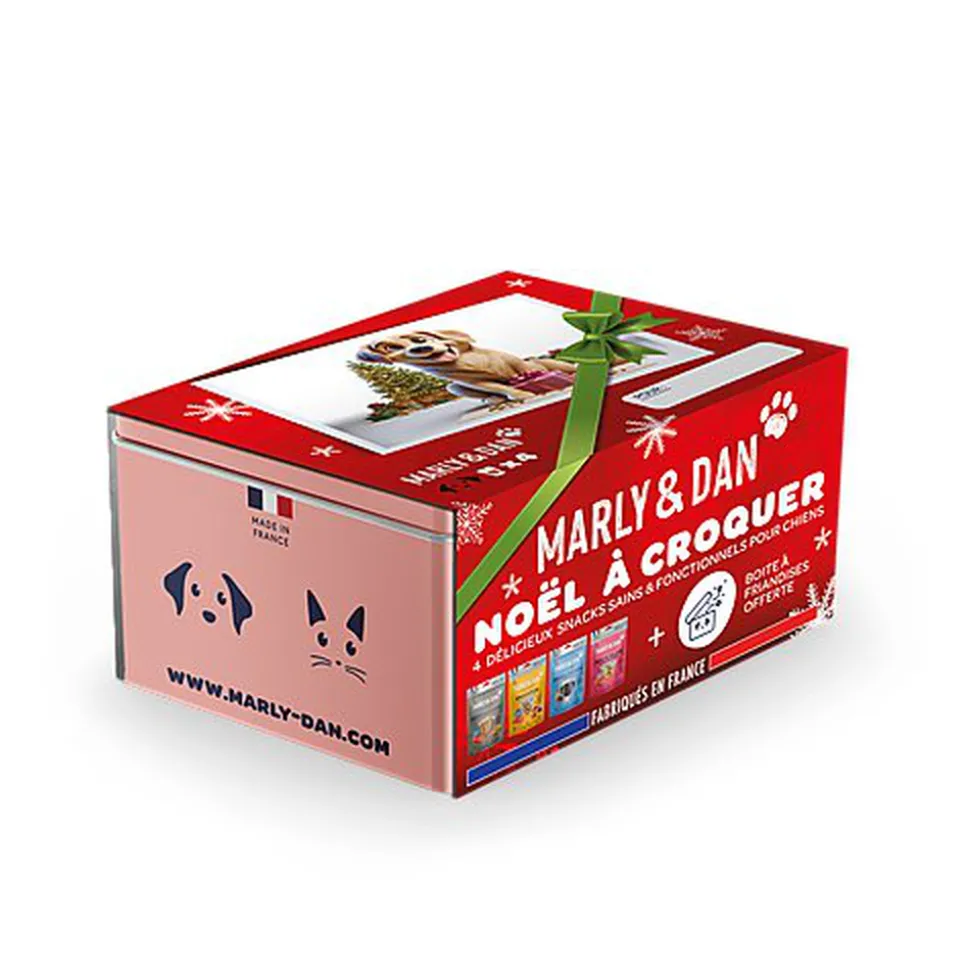 Marly & Dan - Coffret de Noël Multi Pack pour Chien