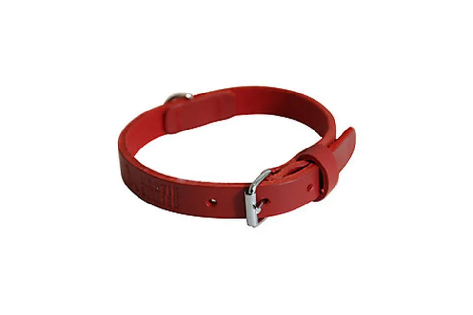 Martin Sellier - Collier avec Bords Ronds Rouge pour Chien