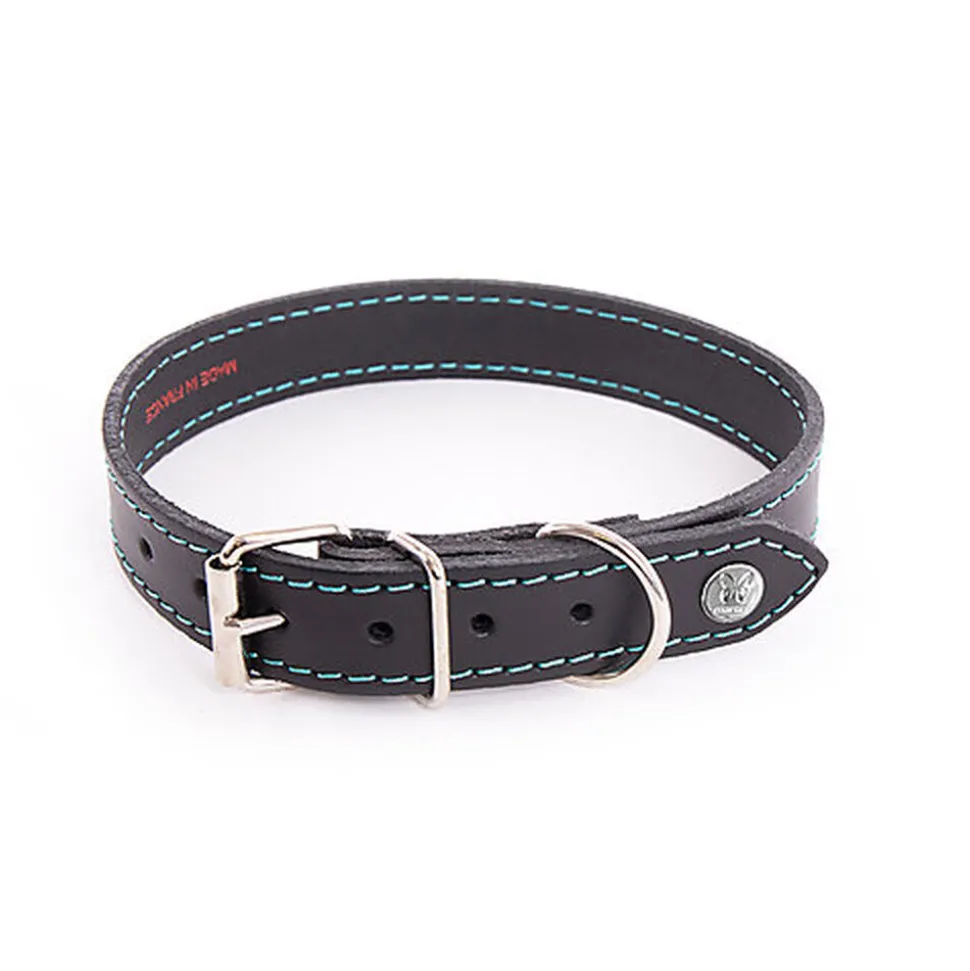 Martin Sellier - Collier Flash Noir/Turquoise pour Chiens