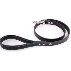 Martin Sellier - Laisse Flash Noir/Turquoise pour Chiens