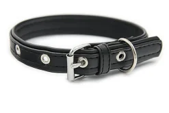 Matteo - Collier Cuir de Cactus Noir pour Chiens