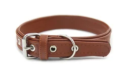 Matteo - Collier Cuir de Cactus Marron pour Chiens