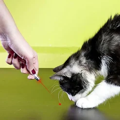 Mister Gadget - Jouet Porte Clés Lampe Torche Laser pour Chats - 14cm