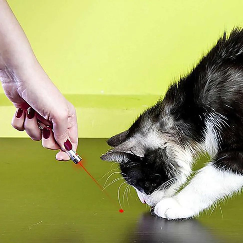 Mister Gadget - Jouet Porte Clés Lampe Torche Laser pour Chats - 14cm