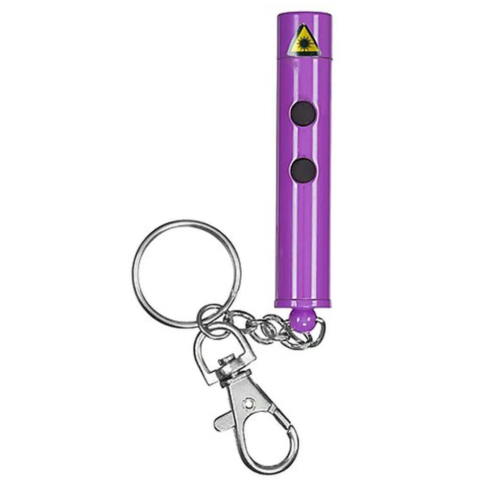 Mister Gadget - Jouet Porte Clés Lampe Torche Laser pour Chats - 14cm