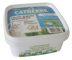 Muzo - Herbe Catherbe Fraîche Dépurative pour Chat