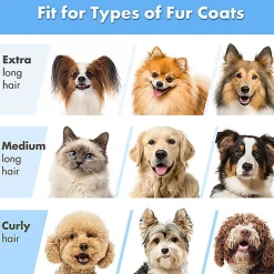 Neakasa - Kit D'outils De Toilettage Neakasa P2 Pro 5-in-1