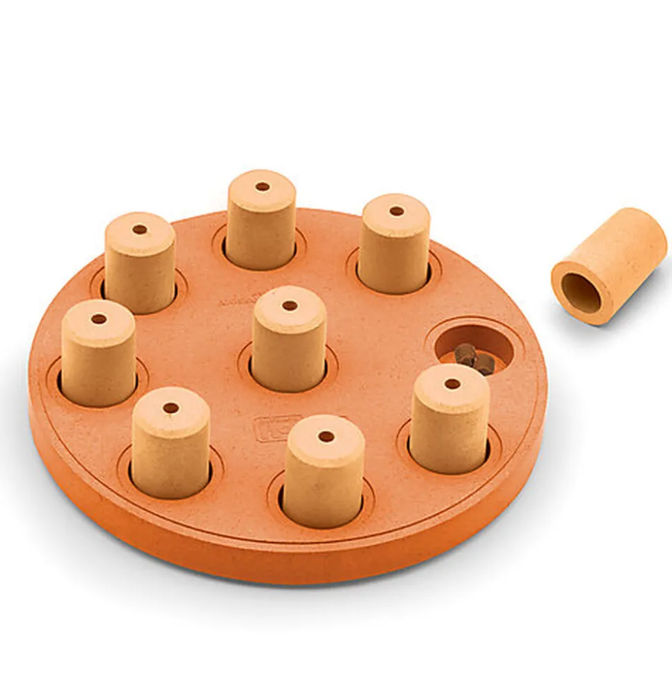 Nina Ottosson - Jeu Educatif Dog Smart composite-Org pour Chiens