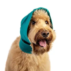 No Flap - Bandage Protection Oreilles - Chien