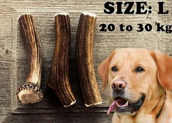 Nutrivia Nature Plus - Bois de Cerf Entier pour Chien