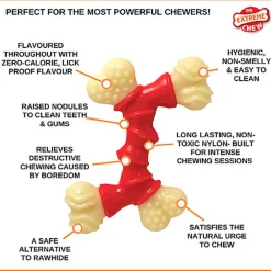 Nylabone - Jouet à Mâcher Bacon Extreme Double Bone - M