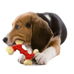 Nylabone - Jouet à Mâcher Bacon Extreme Double Bone - M